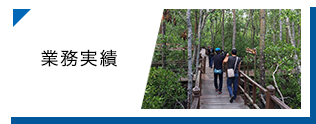 業務実績